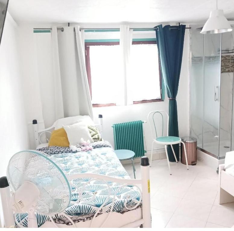 Maison 10 pièces Spa jacuzzi Paris Airport CDG jardin arboré clos