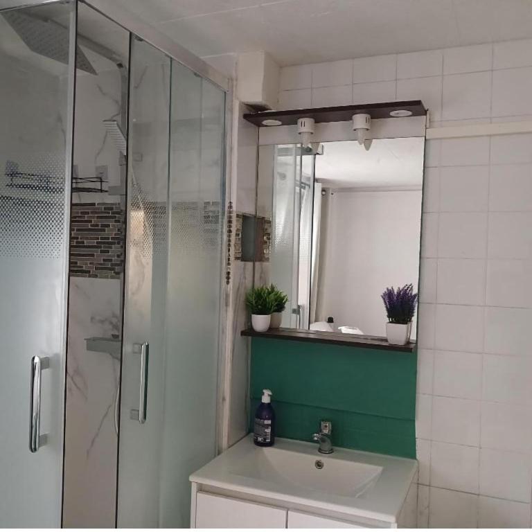 Maison 10 pièces Spa jacuzzi Paris Airport CDG jardin arboré clos